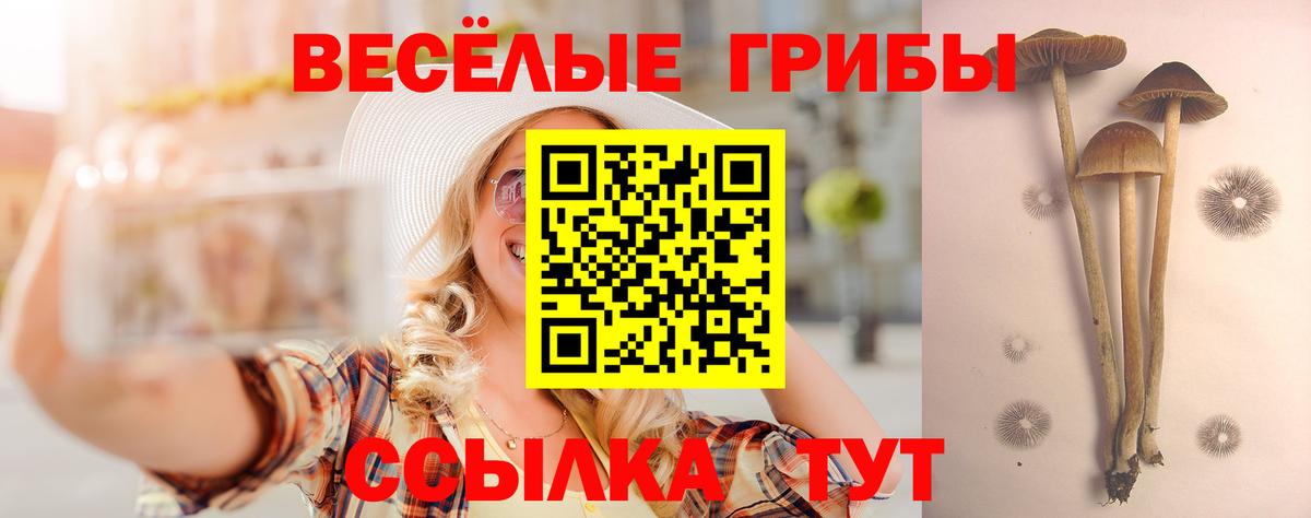 Галлюциногенные грибы мицелий Ухта